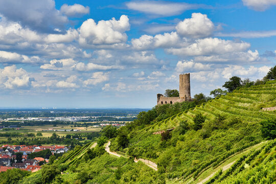 Schriesheim